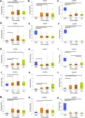 Evaluation of the Prognostic Relevance of Differential Claudin Gene Expression Highlights Claudin-4 as Being Suppressed by TGFβ1 Inhibitor in Colorectal Cancer